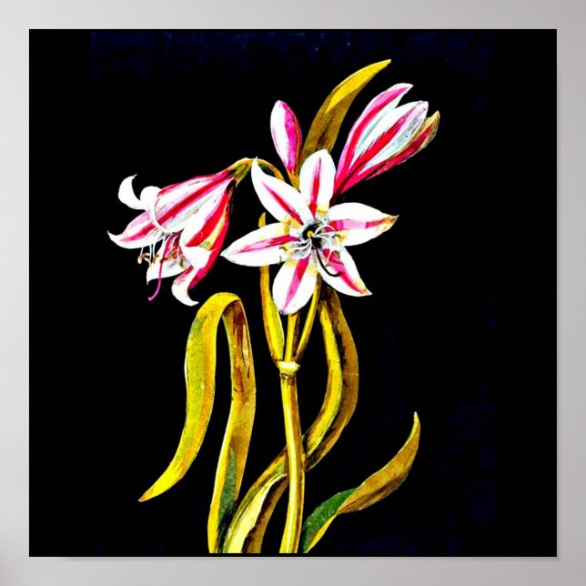Póster Poster-Arte Botánico-Mary Delany 3 (Frente)
