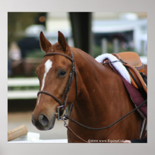 Póster Poster Artie Diversificado 2