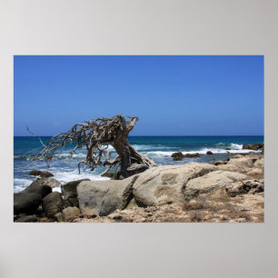 Póster poster aruba