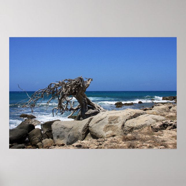 Póster poster aruba (Frente)