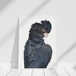 Póster Poster australiano de Cockatoo negro con cola roja