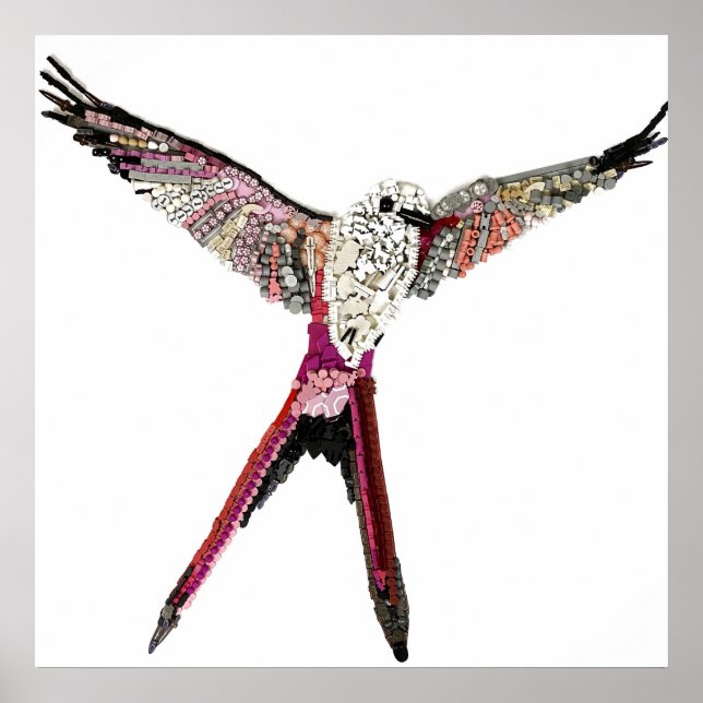 Póster Poster: Ave Wingspan de componentes de juego de me (Frente)