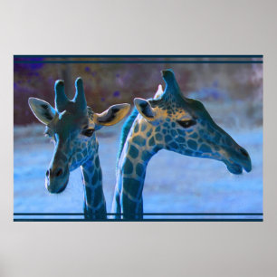 Póster Poster azul Giraffe -36x24 -menor disponible