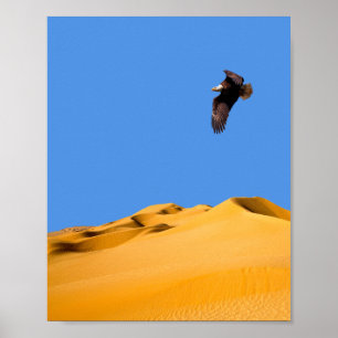 Póster Poster Bald Eagle