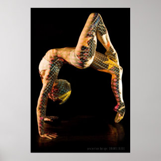 Póster Poster ballet-4562XLG