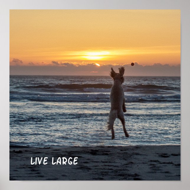 Póster poster Beach Sunset "Live Large" (12" x 12") (Frente)