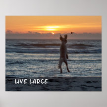 poster Beach Sunset "Live Large" (14" x 11")