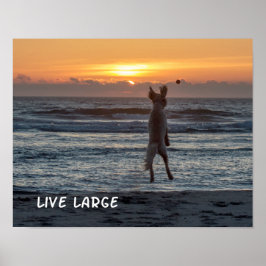 Póster poster Beach Sunset "Live Large" (14" x 11")