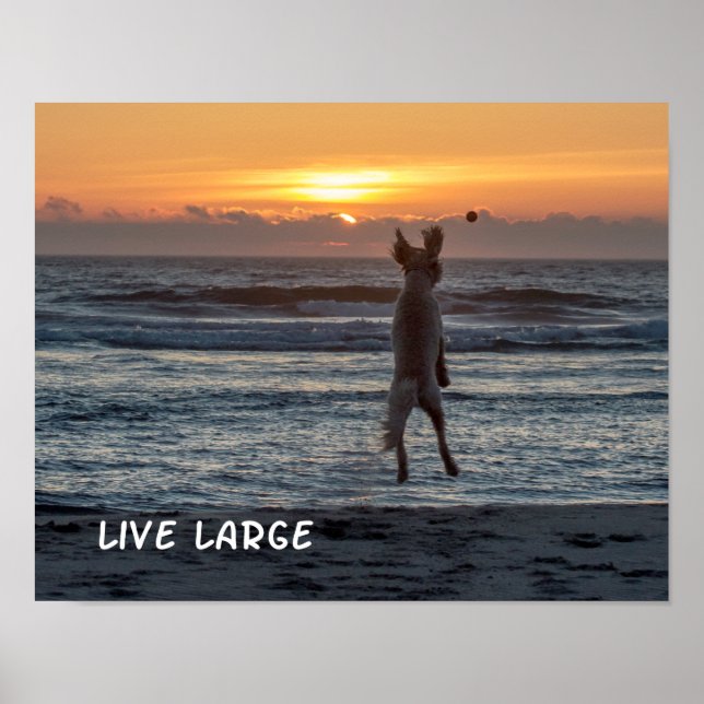 Póster poster Beach Sunset "Live Large" (14" x 11") (Frente)