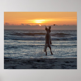 Póster poster Beach Sunset "Live Large" (14" x 11")