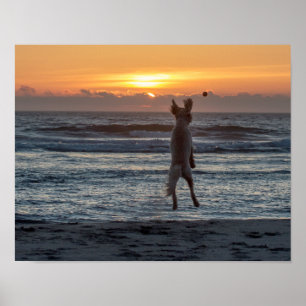 Póster poster Beach Sunset "Live Large" (14" x 11")