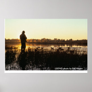 Póster Poster / Beauty of the Hunt
