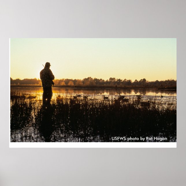 Póster Poster / Beauty of the Hunt (Frente)