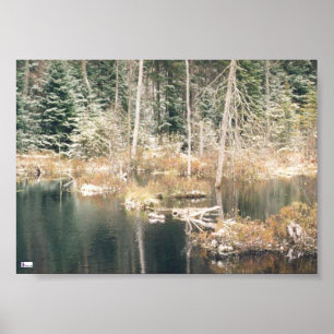 Póster Poster Beaver Pond