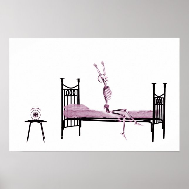 Póster Poster - Beedtime X-Ray Skeleton Pink (Frente)