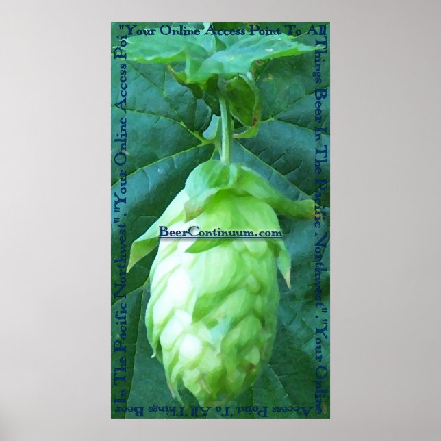 Póster Poster BeerContinuum (Frente)