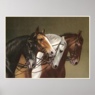 Póster Poster Bella Artes DE CUATRO CABALLOS