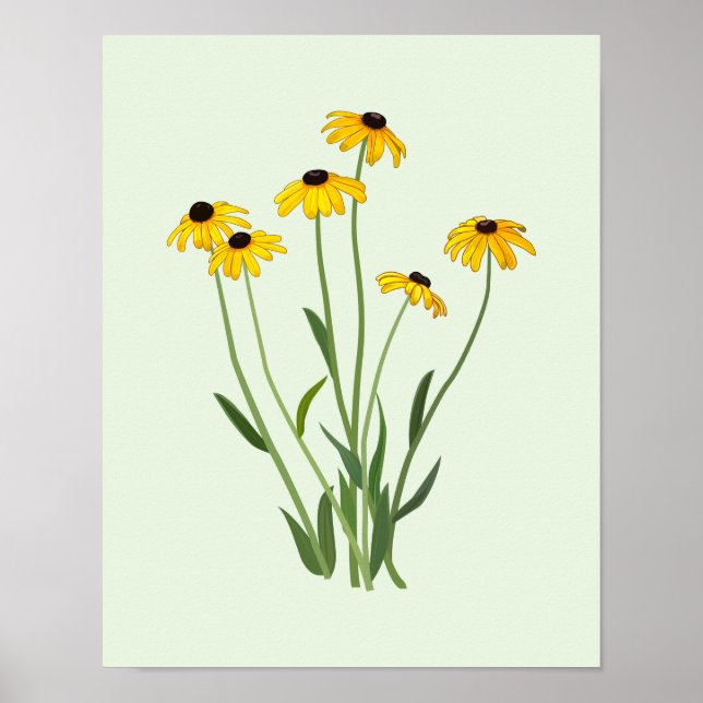 Póster Poster Bella Artes de flores de ojos negros (Frente)