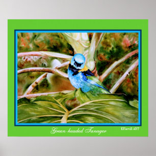 Póster Poster Bella Artes Tanager verde