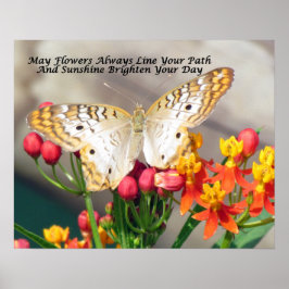 Póster Poster benéfico irlandés (pavo real blanco y almid