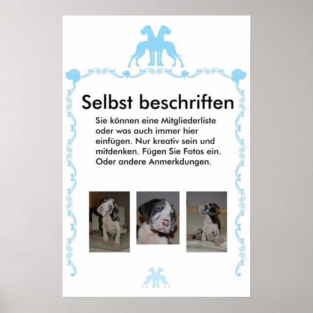 Póster Poster Beschriftet (Frente)