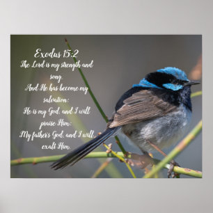 Póster Poster Bible Verse