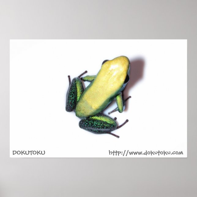 Póster Poster Bicolor (Frente)