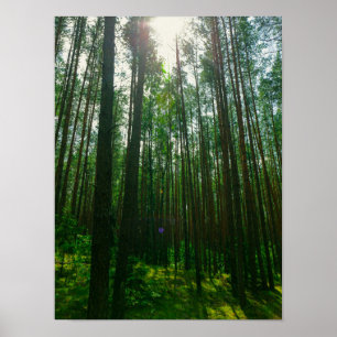 Póster Poster Bielorrusia de la Naturaleza