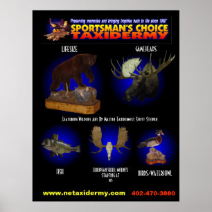 PÓSTER POSTER BIEN ESCOGIDO DEL TAXIDERMY DEL DEPORTISTA