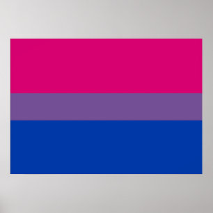 Póster Poster bisexual de la bandera del orgullo
