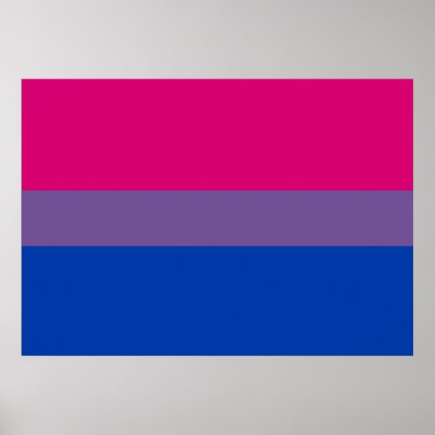 Póster Poster Bisexual De La Bandera Del Orgullo | Zazzle.es