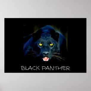 Póster Poster Black Panther