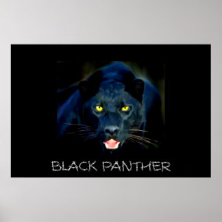 Póster Poster Black Panther