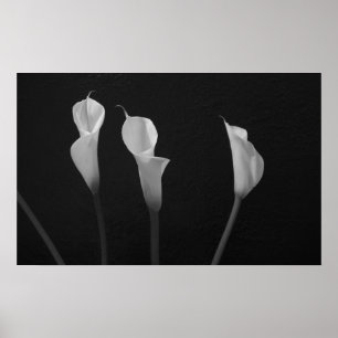 Póster Poster blanco y negro de las flores