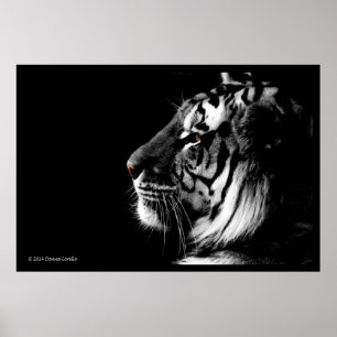 Póster Poster blanco y negro del tigre
