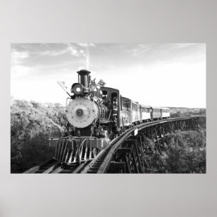 Póster poster blanco y negro del train_Hawaii de la caña