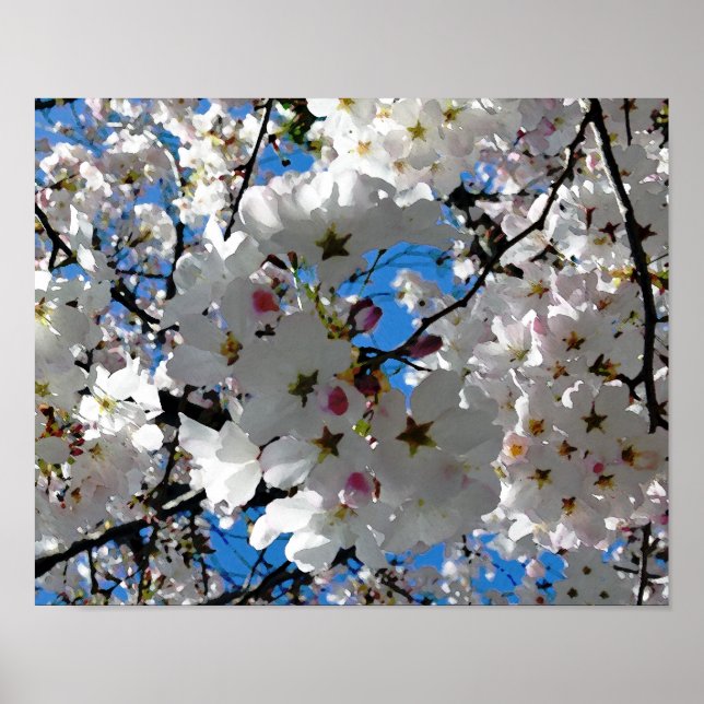 Póster Poster Blissoms Blossoms (Frente)