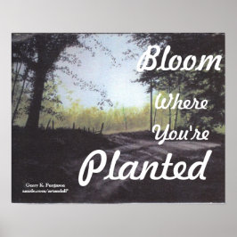 Póster poster "BLOOM DONDE ESTÁS PLANTADO"