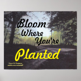Póster poster "BLOOM DONDE ESTÁS PLANTADO"