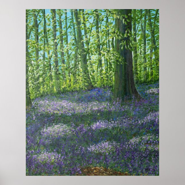 Póster Poster Bluebell Wood (Frente)