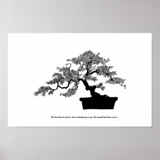 Póster Poster Bonsai con texto