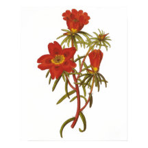 Poster botánico de época