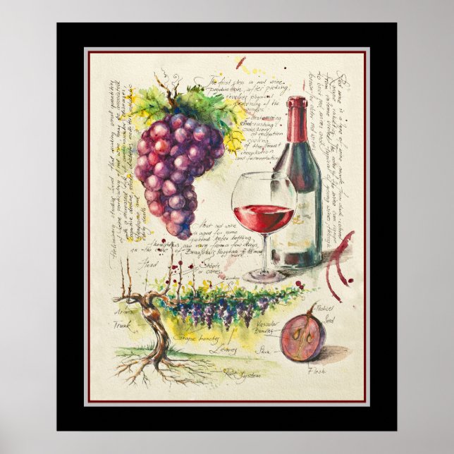 Póster Poster botánico de vino rojo (Frente)