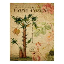Poster Botánico Vintage - Árbol de palmas