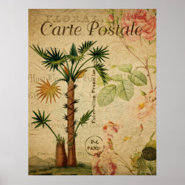 Póster Poster Botánico Vintage - Árbol de palmas