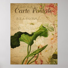 Póster Poster Botánico Vintage - Flor Lotus