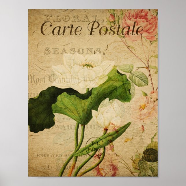 Póster Poster Botánico Vintage - Lotus francés (Frente)