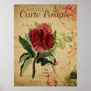 Póster Poster Botánico Vintage - Rhododenron