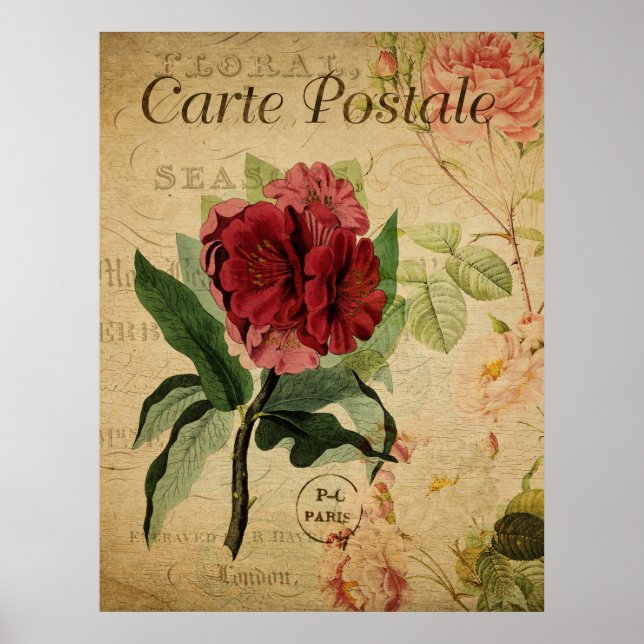 Póster Poster Botánico Vintage - Rhododenron (Frente)