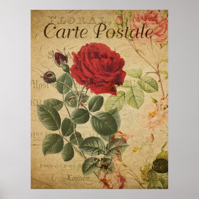 Póster Poster Botánico Vintage - Rosa de postales francés (Frente)